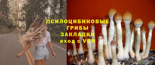 таблы Костерёво
