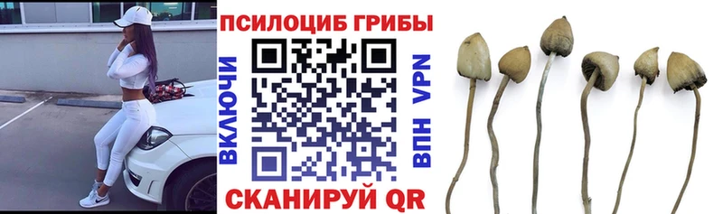 Галлюциногенные грибы ЛСД  Усть-Катав 
